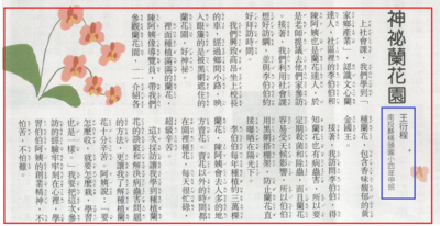 文章圖片
